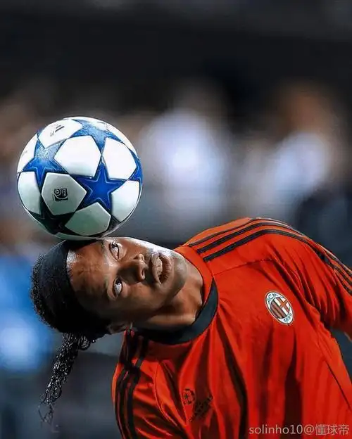 不仅为排球 不仅为排球